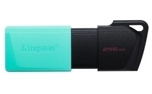 MEMORIA USB 256GB KINGSTON DTXM EXODIA 3.2 (Incluye Canon LPI de 0,24  )